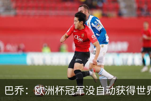 巴乔：欧洲杯冠军没自动获得世界杯资格 这是耻辱